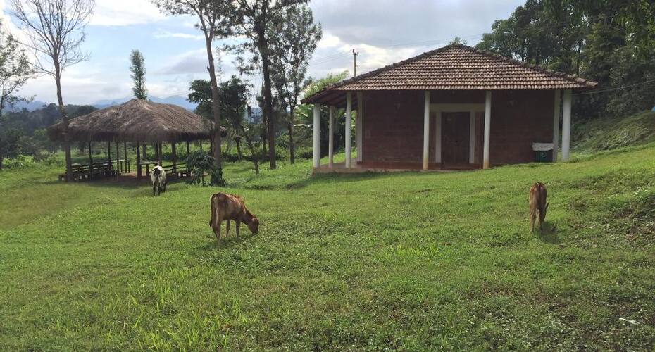 Coorg Adventure Club, Coorg 5